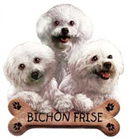 Bichon Frise Shirts