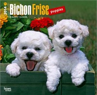 2012 Bichon Frise Puppies Calendar