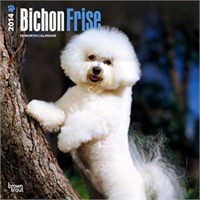 2012 Bichon Frise Calendar
