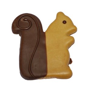 Pawsitively Gourmet Sammy Squirrel Cookies