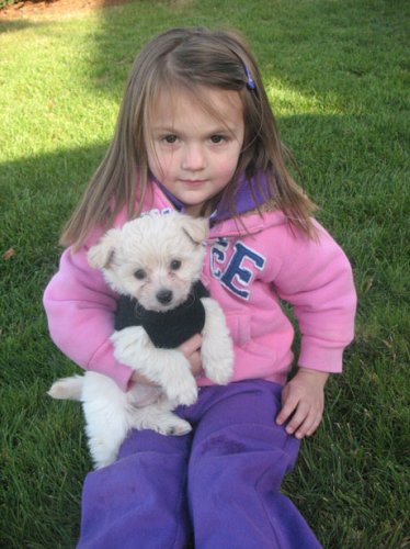 Choosing a Dog for Family