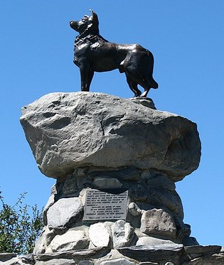 Statue and dog memorial to honor beloved dog
