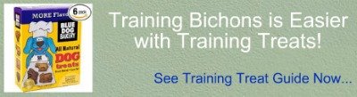 Bichon FRise training dog treats