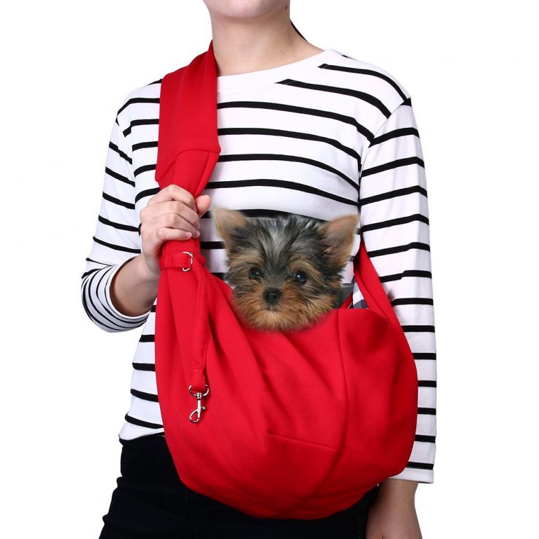  Small Dog Carriers 