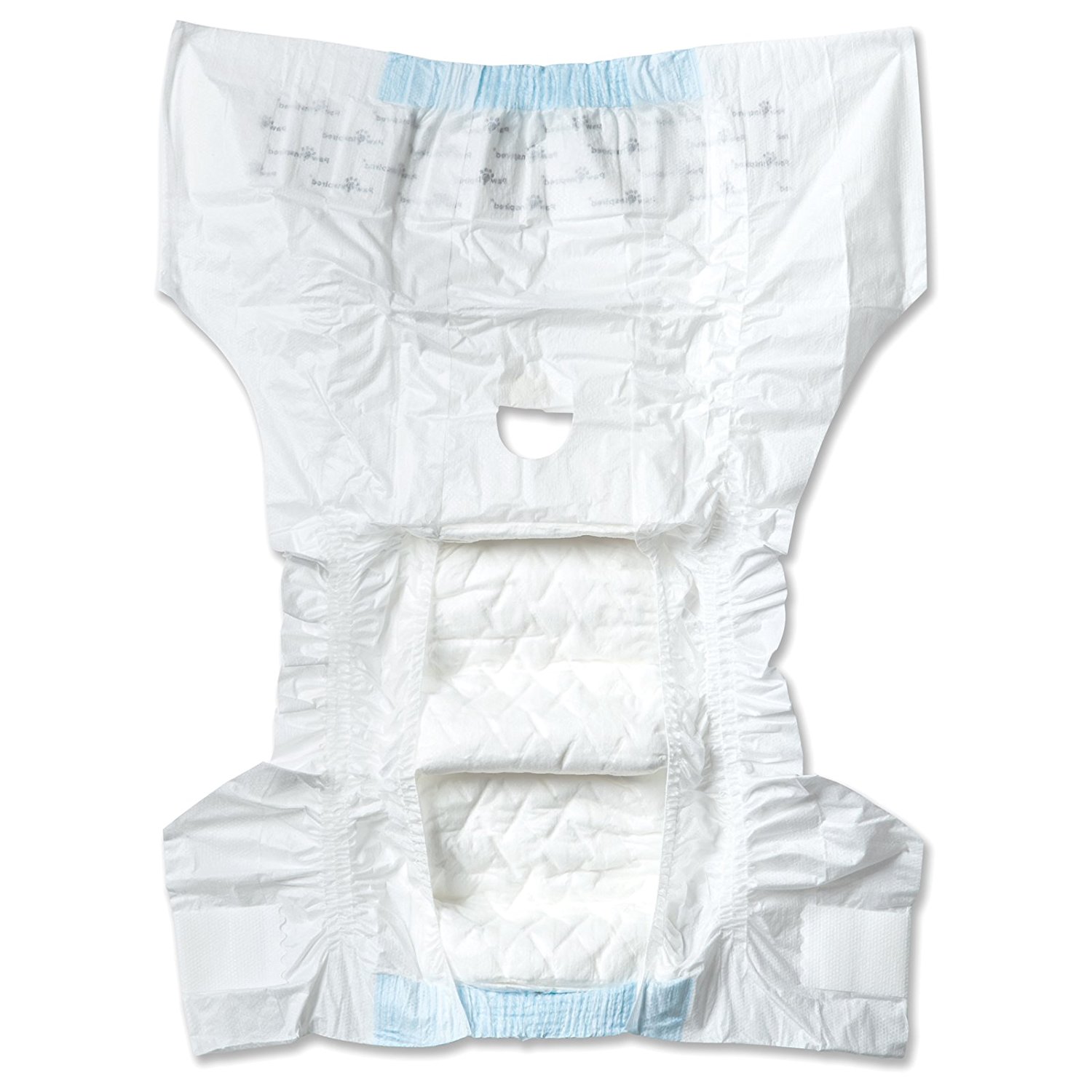 Dog Incontinence Products for Incontinent Dogs All About Bichon Frises